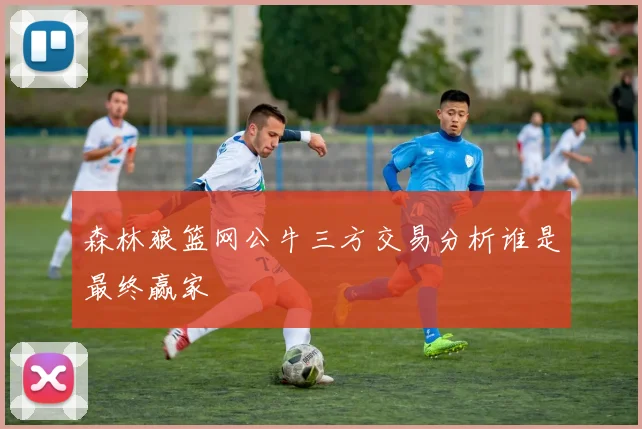 森林狼篮网公牛三方交易分析谁是最终赢家